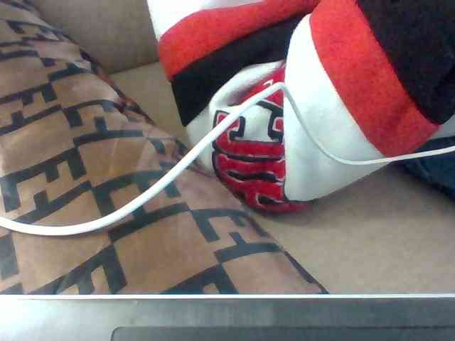 Dollie webcam
