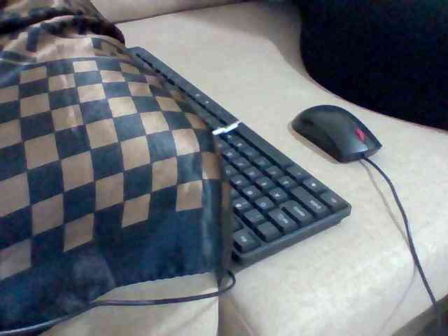 Dollie webcam