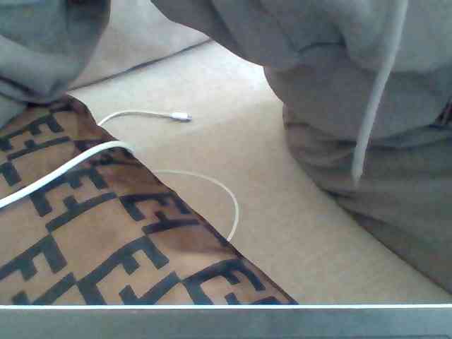 Dollie webcam