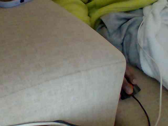 Dollie webcam