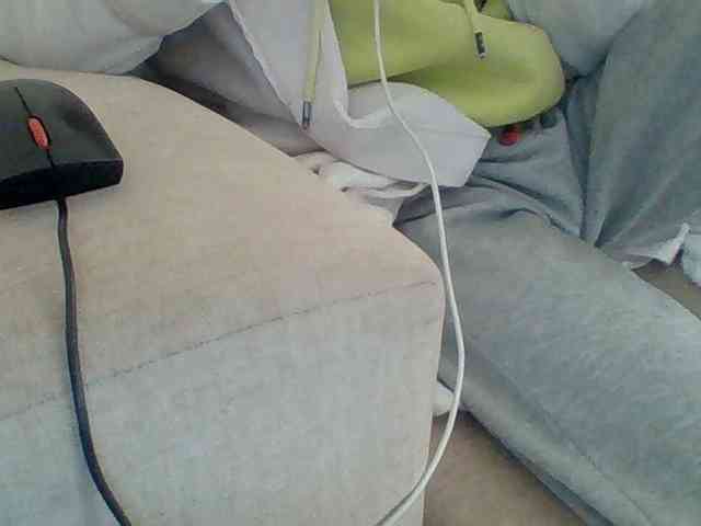 Dollie webcam