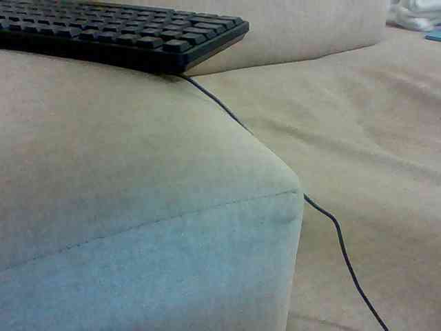 Dollie webcam