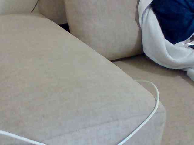 Dollie webcam