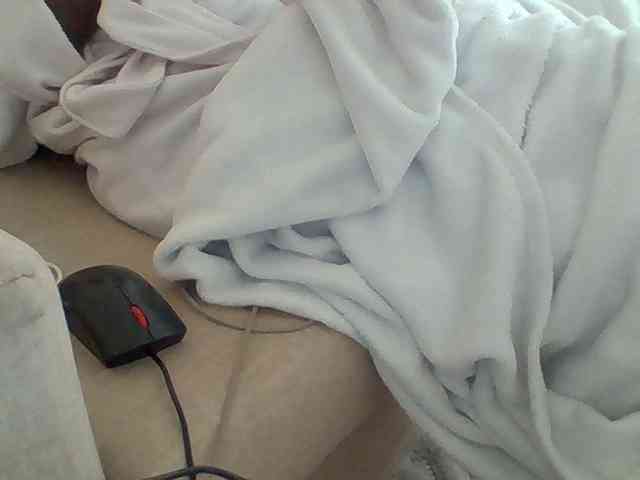 Dollie webcam