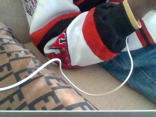 Dollie webcam