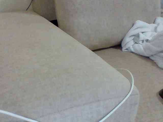 Dollie webcam