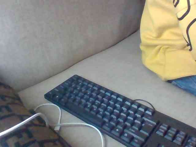Dollie webcam