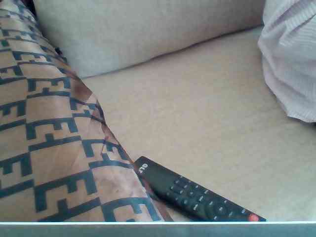 Dollie webcam