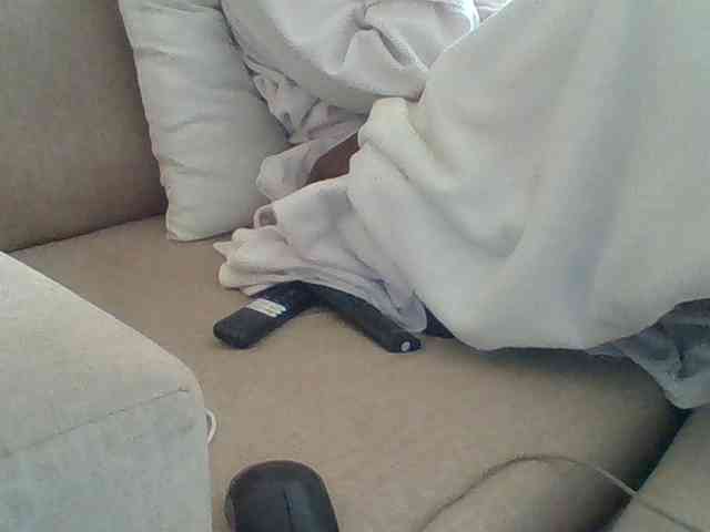 Dollie webcam