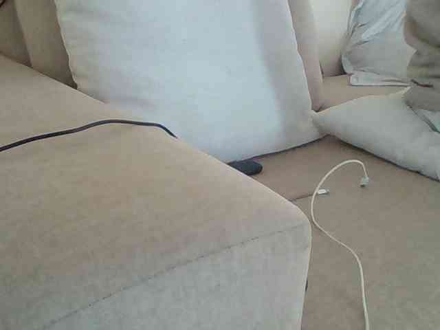Dollie webcam