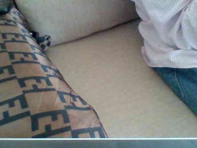 Dollie webcam