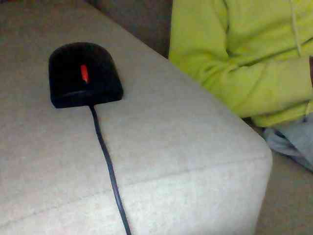 Dollie webcam
