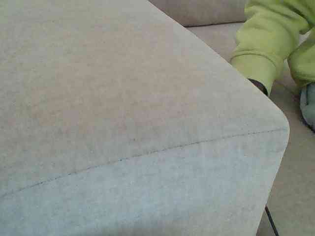Dollie webcam