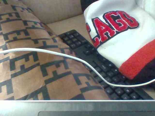 Dollie webcam