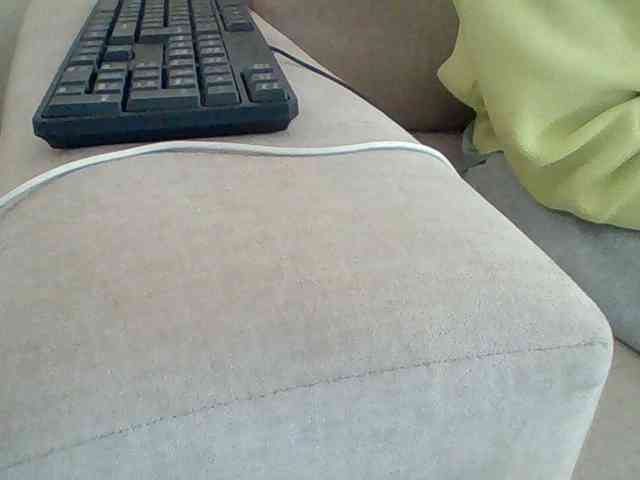 Dollie webcam