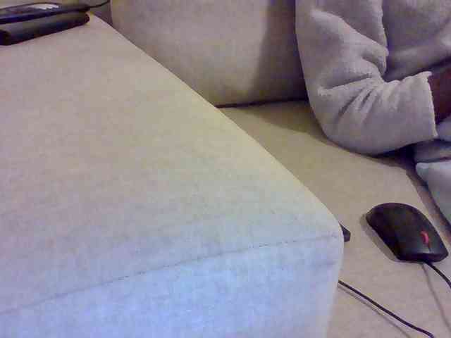 Dollie webcam