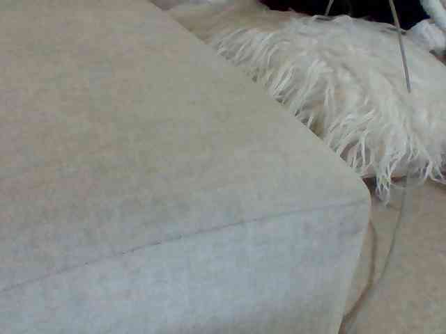 Dollie webcam