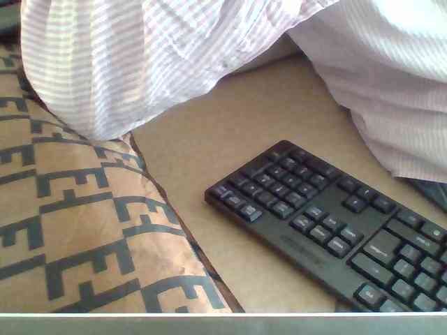 Dollie webcam
