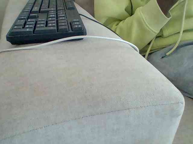 Dollie webcam