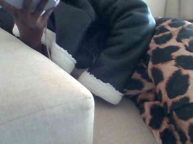 Dollie webcam