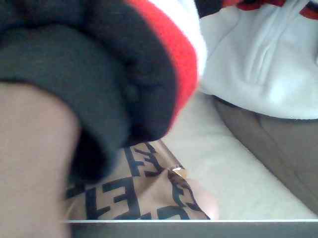 Dollie webcam
