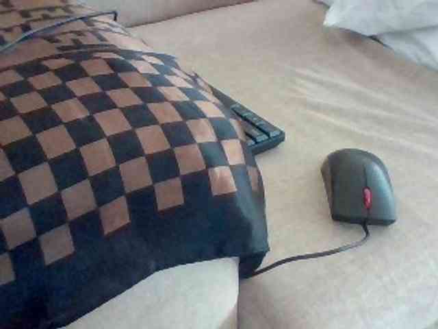 Dollie webcam