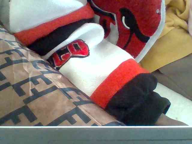 Dollie webcam