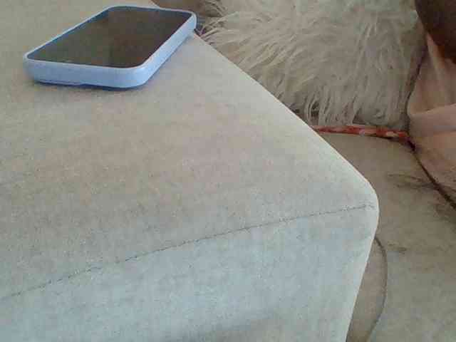 Dollie webcam