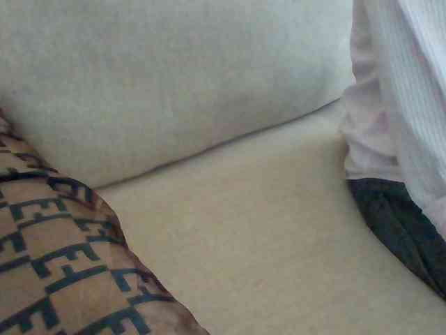 Dollie webcam