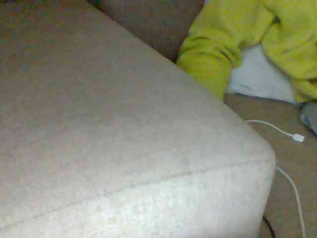 Dollie webcam
