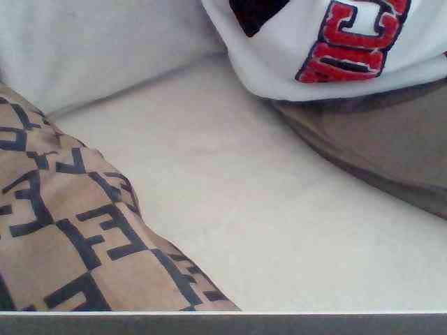 Dollie webcam