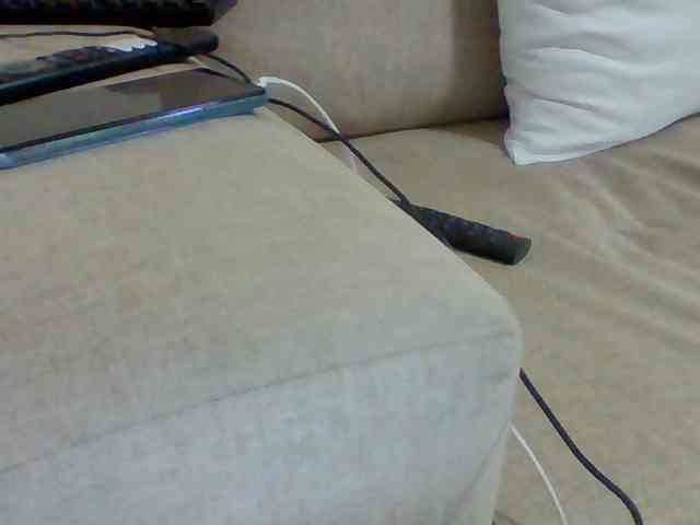 Dollie webcam
