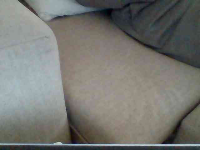 Dollie webcam