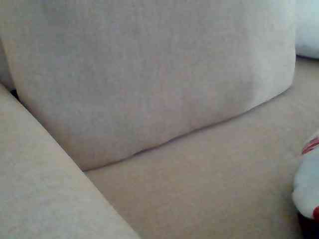 Dollie webcam