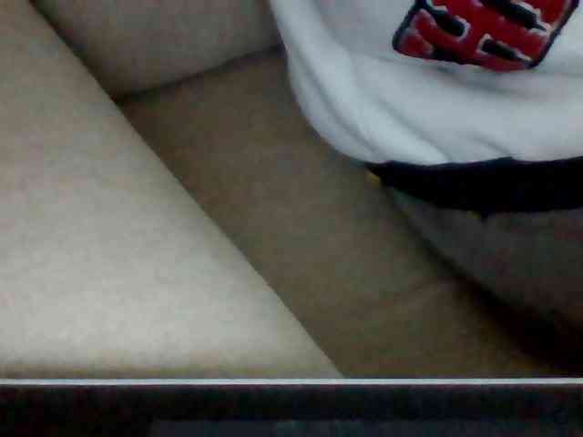 Dollie webcam