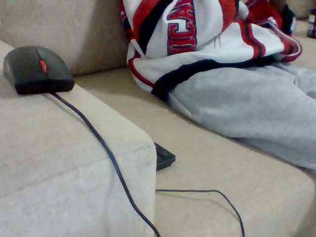 Dollie webcam