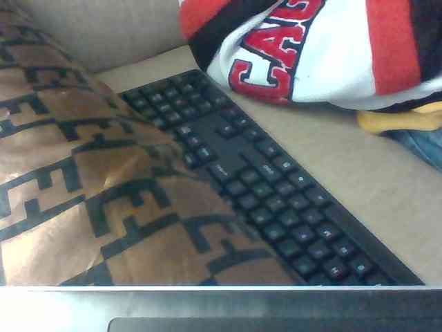 Dollie webcam