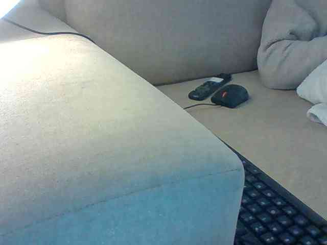 Dollie webcam