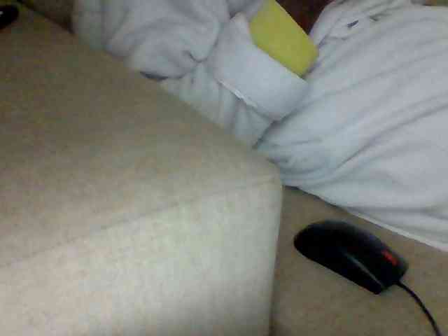 Dollie webcam