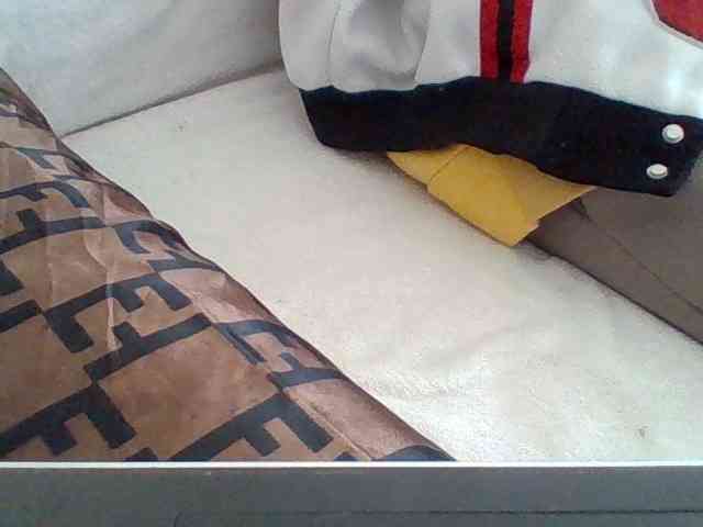 Dollie webcam