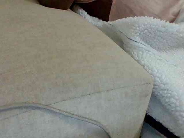 Dollie webcam