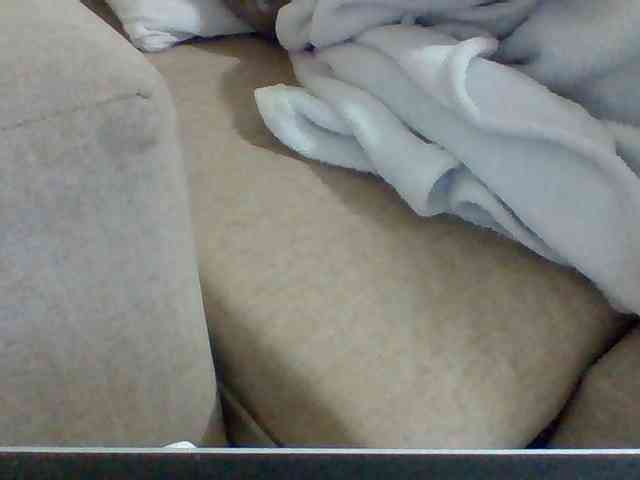 Dollie webcam