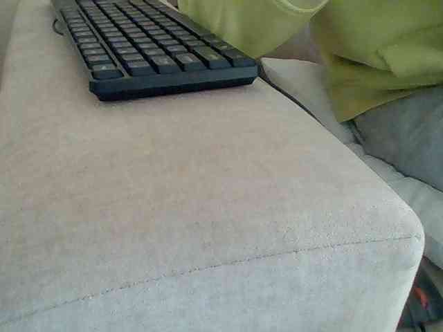 Dollie webcam