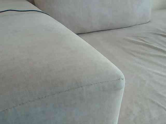 Dollie webcam