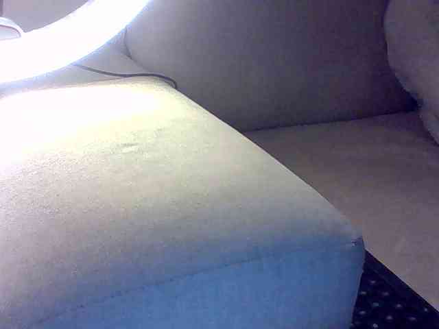 Dollie webcam