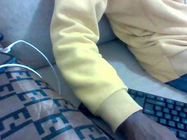 Dollie webcam