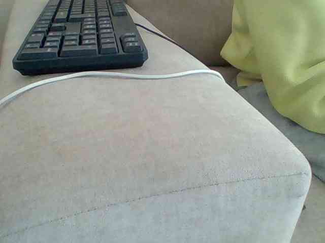 Dollie webcam