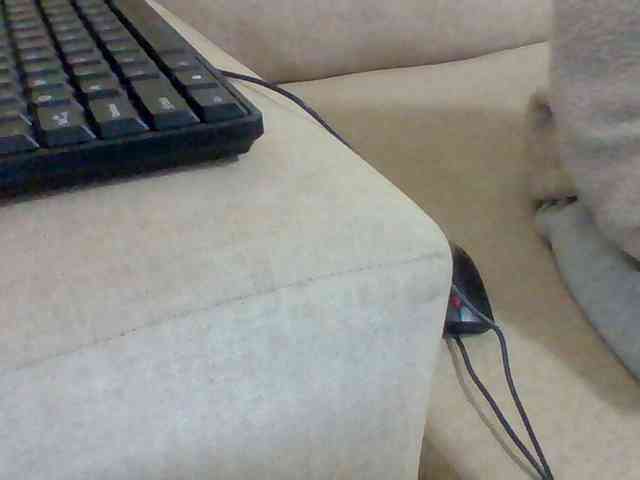 Dollie webcam