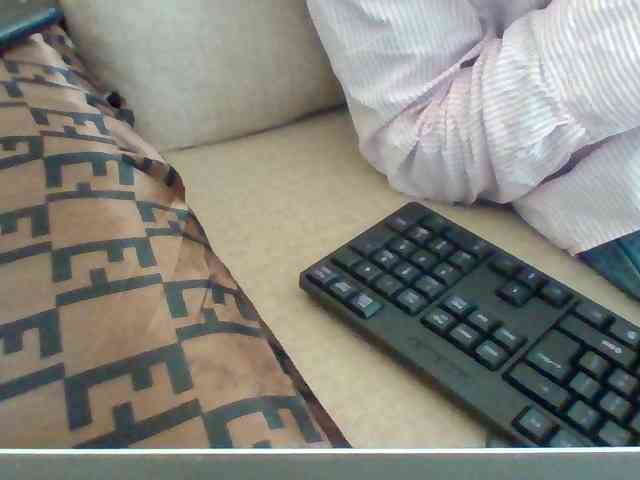 Dollie webcam