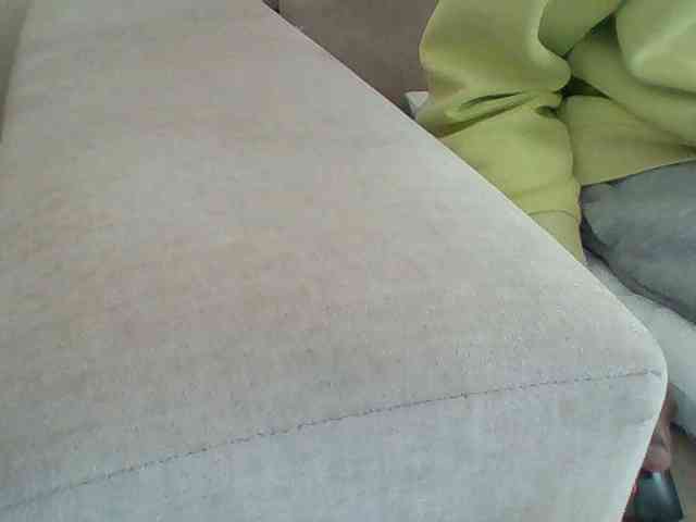 Dollie webcam